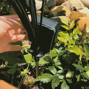 LED Solar Firefly Garden Lights