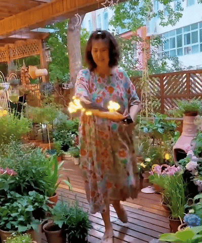 LED Solar Firefly Garden Lights